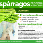 Espárragos: ventajas características y precauciones esenciales