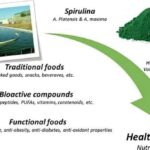 Espirulina azul: beneficios usos y posibles contraindicaciones