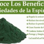 Espirulina: propiedades y beneficios para tu salud