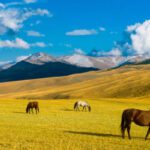 Estepa: características clima biodiversidad y ecosistemas