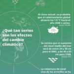 Estrategias efectivas para disminuir los gases de efecto invernadero