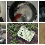 Fabricación de plástico biodegradable a partir de maicena