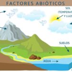 Factores abióticos: definición características y ejemplos clave