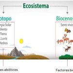 Factores bióticos: definición características clasificación y ejemplos