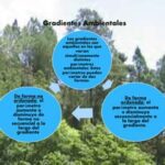 Factores que influyen en la biodiversidad natural