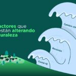 Factores que perjudican el medio ambiente