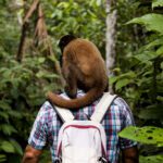 Fauna amenazada del Amazonas y su lucha por sobrevivir