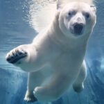 Fauna amenazada del Ártico: especies en peligro crítico