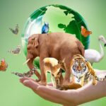 Fauna amenazada en México: protección y conservación urgentemente necesarias