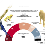 Fauna chilena en riesgo: especies amenazadas y su conservación