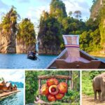 Fauna fascinante de Tailandia: un vistazo a sus especies
