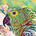 Fauna más amenazante en España: un vistazo revelador