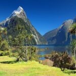 Fauna única de Nueva Zelanda: maravillas naturales