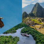 Fauna única del Perú: conservación y diversidad