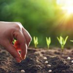 Fertilizantes: Tipos y su importancia en la agricultura