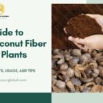 Fibra de coco para plantas: beneficios y método de preparación