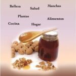 Flor de Pascua mustia: causas y soluciones efectivas