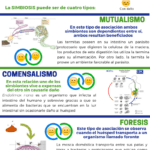 Foresis: definición y ejemplos prácticos explicados