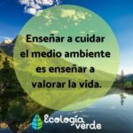 Frases inspiradoras sobre el medio ambiente para niños