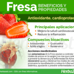 Fresas: beneficios propiedades y precauciones para tu salud