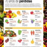 Frutas y verduras: ¿Cuál es la verdadera diferencia?