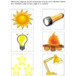 Fuentes de luz y calor: ejemplos naturales y artificiales