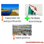 Fuentes y efectos de la contaminación del agua