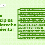 Fundamentos del Derecho Ambiental y su importancia social