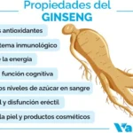 Ginseng rojo coreano: usos beneficios y precauciones esenciales