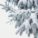 Gránulos de nieve y cinarra: características y formación