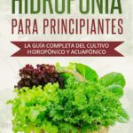 Guía completa de tipos y cultivo de plantas hidropónicas