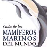 Guía de mamíferos marinos y sus características principales