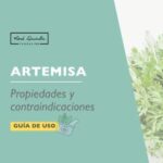 Guía esencial para el cuidado de la artemisa