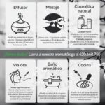 Guía esencial para el cuidado del hinojo