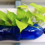 Guía para crear macetas recicladas de forma sencilla
