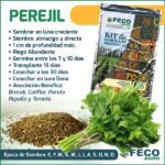 Guía para cultivar perejil en casa