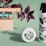 Guía para elaborar jabón potásico de forma sencilla