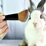Guía para identificar productos no testados en animales
