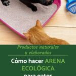 Guía para preparar arena ecológica para gatos
