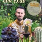 Guía práctica para cultivar suculentas con éxito