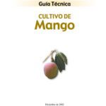 Guía práctica para el cultivo y cuidado del mango