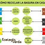 Guía práctica para reciclar plástico en tu hogar