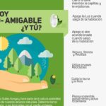 Guía práctica para vivir de manera eco-amigable