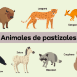 Habitantes subterráneos: animales que prosperan en madrigueras