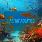 Hábitat acuático: definición características tipos y ejemplos esenciales
