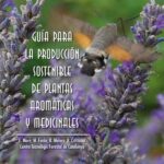 Hiedra canaria: guía de cuidados y reproducción essentials
