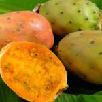 Higo Chumbo: Beneficios formas de consumo y precauciones
