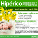 Hipérico: usos ventajas y precauciones importantes