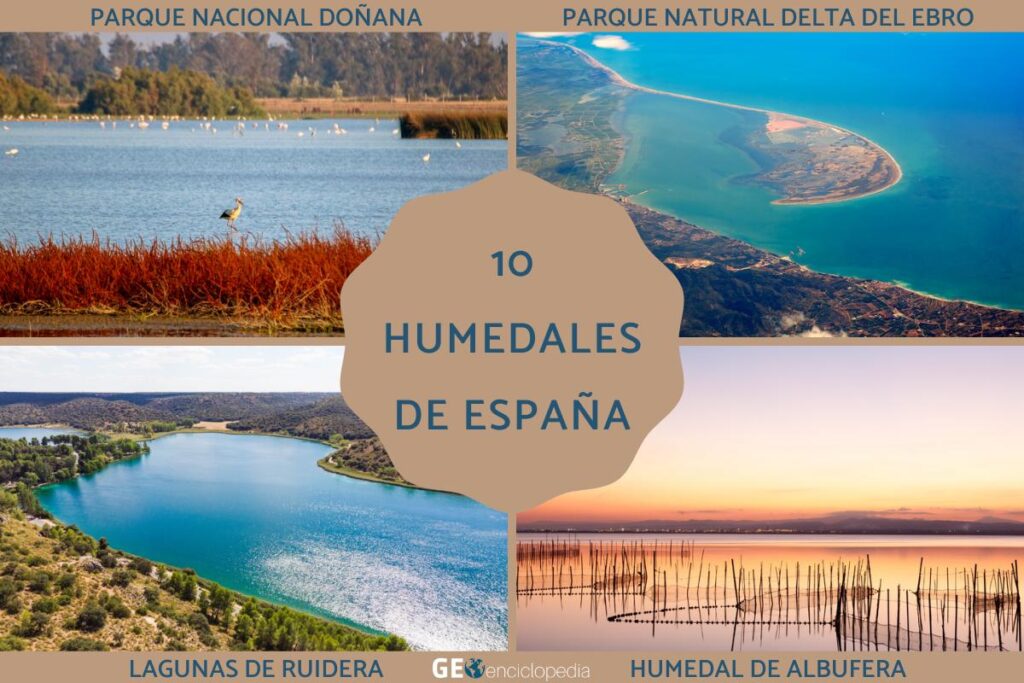 Humedales en España: ubicación características y relevancia ecológica ...