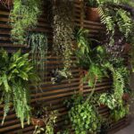 Ideas creativas para decorar con plantas colgantes